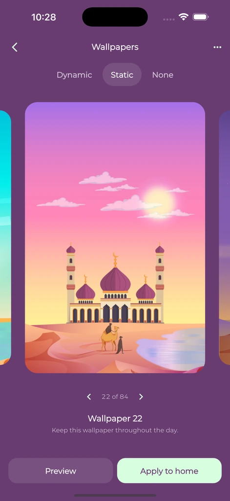 Dynamic and static wallpaper options